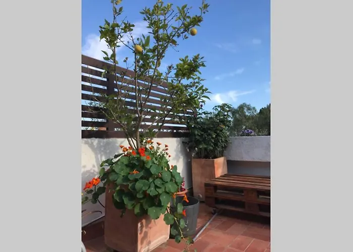 Casita Blanca Con Fibra Optica Y Piscina Cominutaria